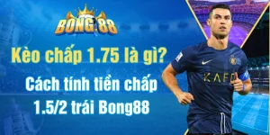 Kèo chấp 1.75 là gì? Cách tính tiền chấp 1.5/2 trái Bong88