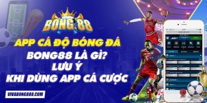 App cá độ bóng đá Bong88 là gì? Lưu ý khi dùng app cá cược