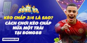 Kèo chấp 3/4 là sao? Cách chơi kèo chấp nửa một trái tại Bong88