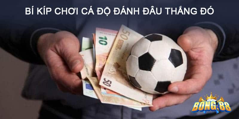 Tìm hiểu kèo cược cẩn thận để có cách cá độ bóng đá đúng