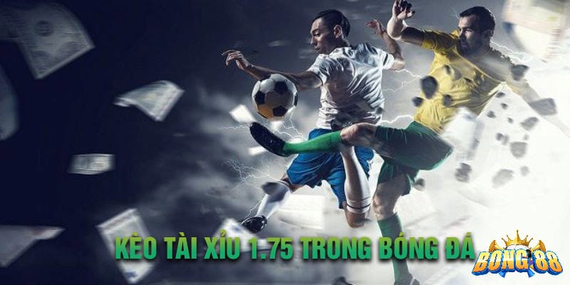 Tìm hiểu chính xác kèo tài xỉu 1.75 là gì?