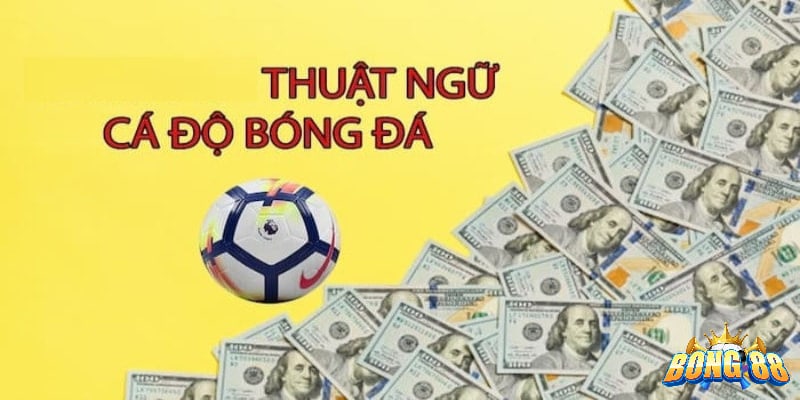 thuật ngữ cá độ bóng đá