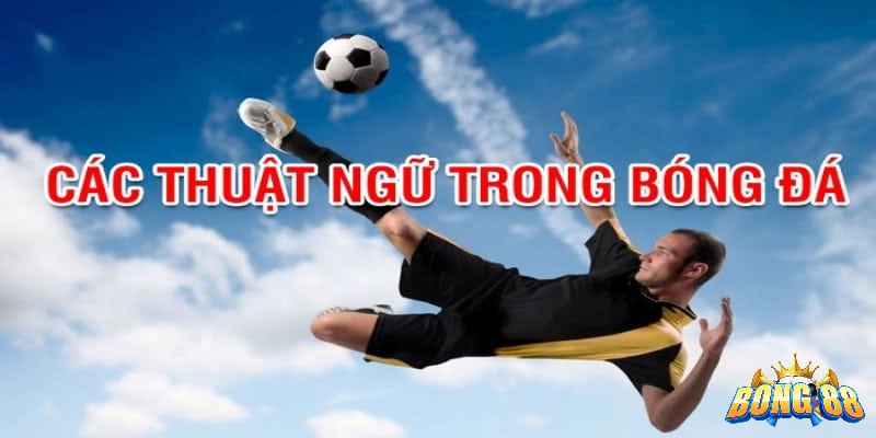 Tổng hợp các thuật ngữ cá độ bóng đá cơ bản